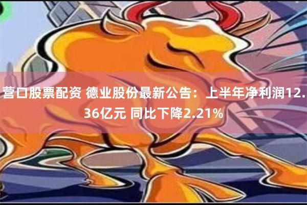 营口股票配资 德业股份最新公告：上半年净利润12.36亿元 同比下降2.21%