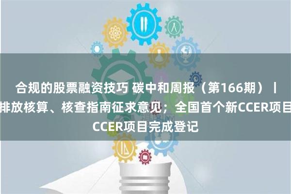 合规的股票融资技巧 碳中和周报（第166期）丨钢铁行业排放核算、核查指南征求意见；全国首个新CCER项目完成登记