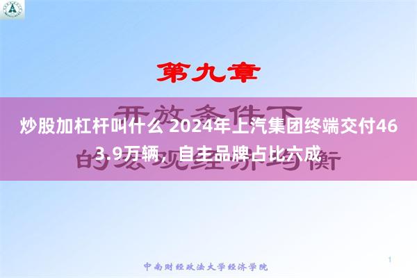 炒股加杠杆叫什么 2024年上汽集团终端交付463.9万辆，自主品牌占比六成