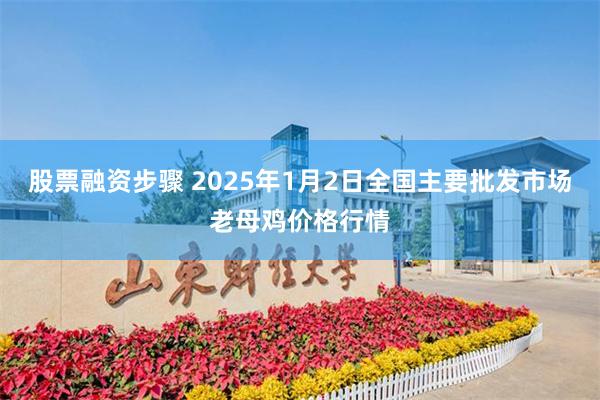 股票融资步骤 2025年1月2日全国主要批发市场老母鸡价格行情