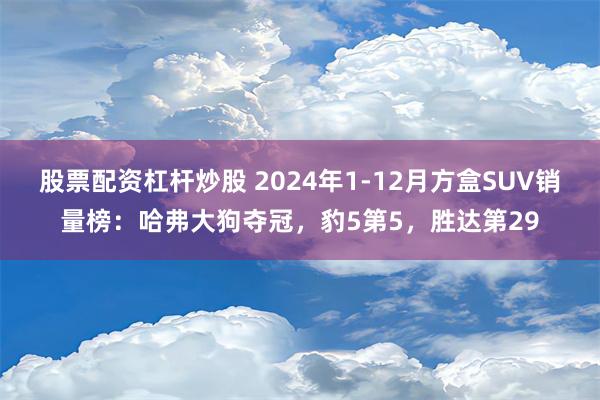 股票配资杠杆炒股 2024年1-12月方盒SUV销量榜：哈弗大狗夺冠，豹5第5，胜达第29